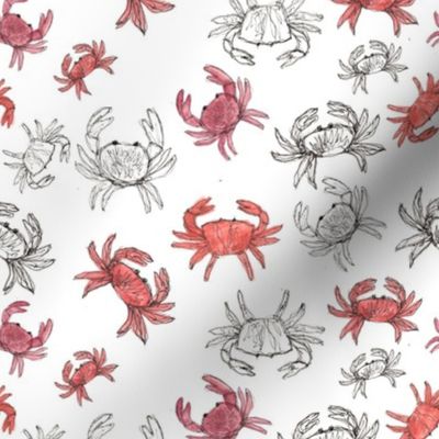 Crabs