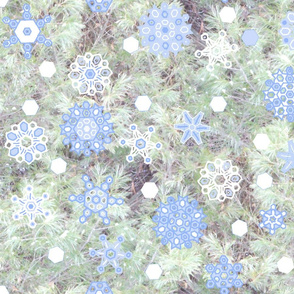 snowflakes_E_Pine_2012oilify