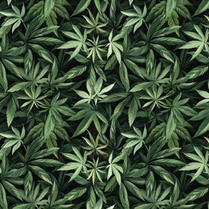 Verdant Weeds: Cannabis Leaf Symphony
