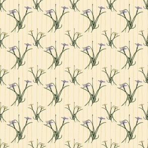 Wild Irises on Stripes