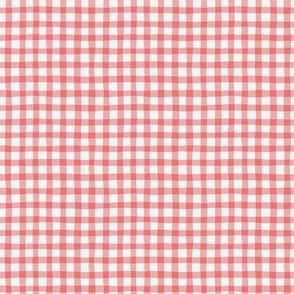 Hand Painted Gingham - Watermelon on off white