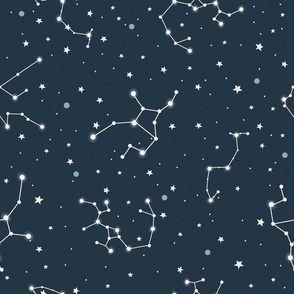 Constellations up Above - Dark Sky