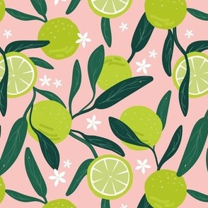 Lush citrus branches with lime slices blossom and leaves green lime on pink blush 