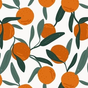 Lush botanical fruit garden - citrus branches fruits oranges and leaves vintage green on white 