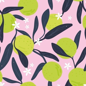 Colorful citrus garden summer fruit design  kitchen wallpaper flowers and lime pink 