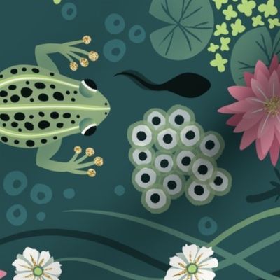 L / Swimming Frogs and Tadpoles
