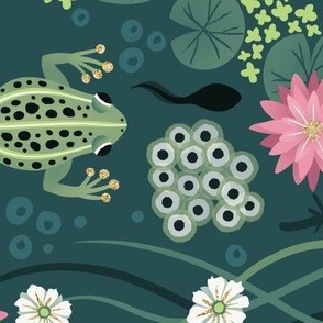 L / Swimming Frogs and Tadpoles