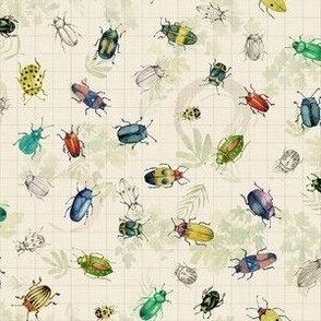 Beetles & Bugs, cream. Explorer