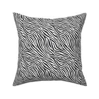 Zebra black and white (6 inch)