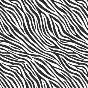 Zebra black and white (6 inch)