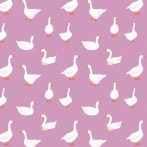 (M) White snow geese, farm goose, on plum lilac Purple, Medium
