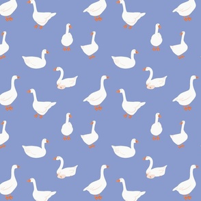(M) White snow geese, farm goose, on Blue, Medium