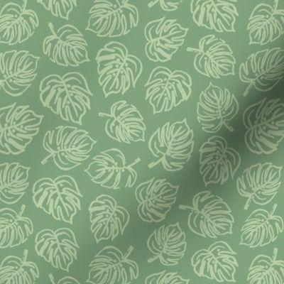 Summer Green Palm Leaves 