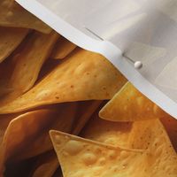 Salted Tortilla Chips