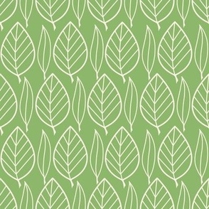 Tropical Leaf Outline On A Green Background