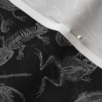 Small-Scale Prehistoric Fossil Illustrations Damask - Black & White