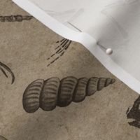 Prehistoric Fossil Illustrations Damask - Brown & Tan