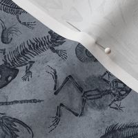 Small-Scale Prehistoric Fossil Illustrations Damask - Blue-Gray