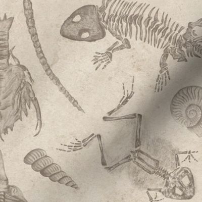 Prehistoric Fossil Illustrations Damask - Beige & Taupe