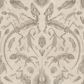 Prehistoric Fossil Illustrations Damask - Beige & Taupe