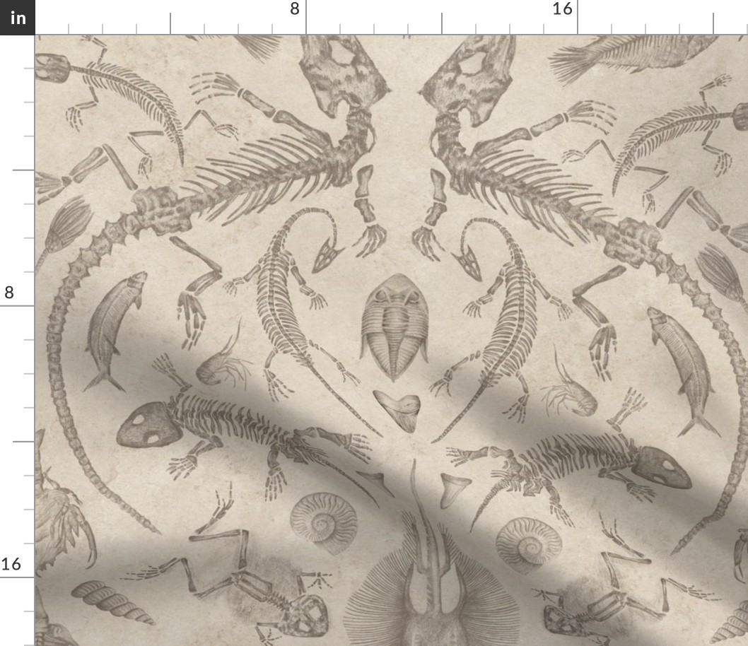 Prehistoric Fossil Illustrations Damask - Beige & Taupe