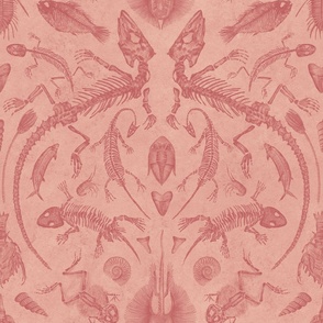 Prehistoric Fossil Illustrations Damask - Warm Peach