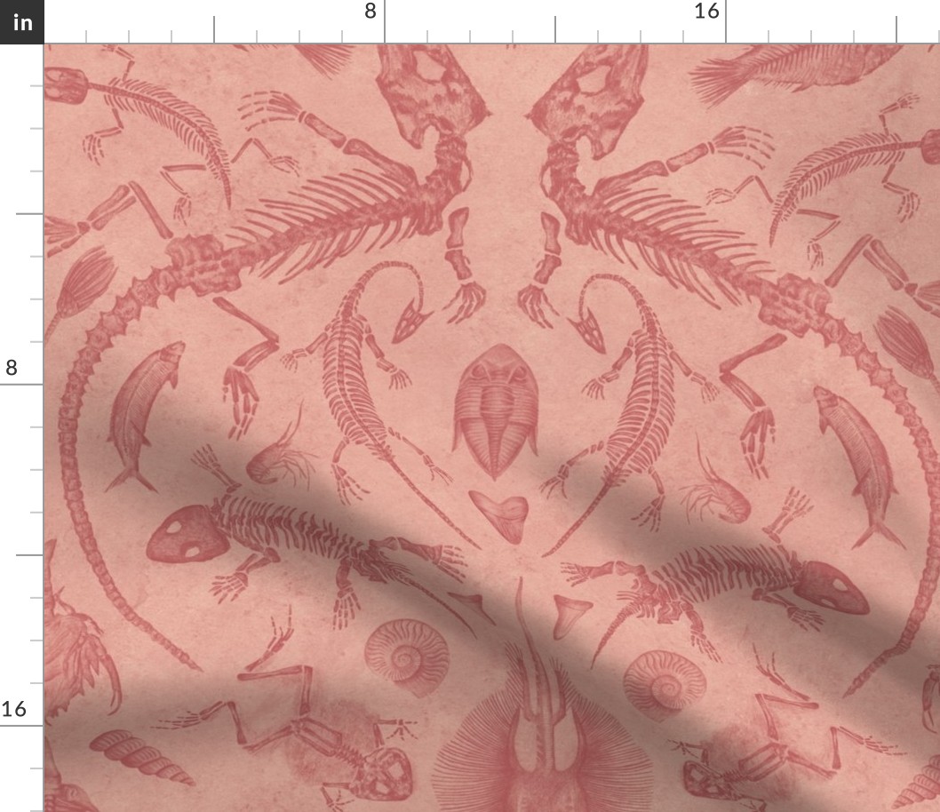 Prehistoric Fossil Illustrations Damask - Warm Peach