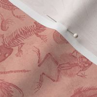 Small-Scale Prehistoric Fossil Illustrations Damask - Warm Peach