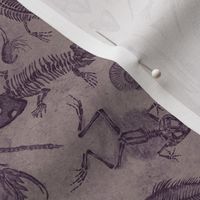 Small-Scale Prehistoric Fossil Illustrations Damask - Muted Purple