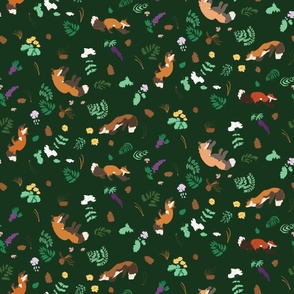 Forest Floor Foxes