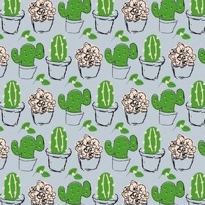 Cactus and flowers on blue background