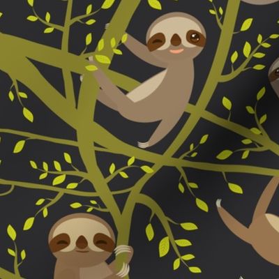 cute  Three-toed sloth on green branch tree