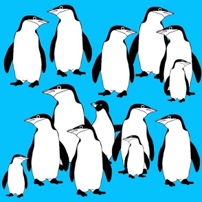 (L) Cute Penguins Rows - Polar Animal Penguin - Aquatic Bird - Black and White on Blue 