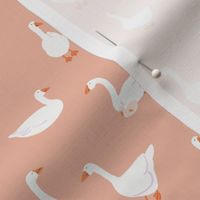 (S) White snow geese, farm goose, on peach, small