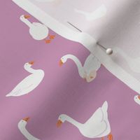 (S) White snow geese, farm goose, on plum lilac purple, small
