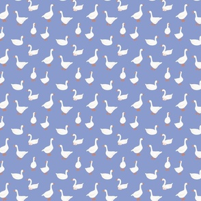 (S) White snow geese, farm goose, on blue, small