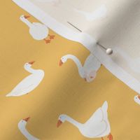 (S) White snow geese, farm goose, on Yellow,  small