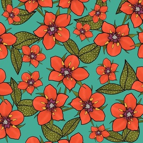 Scarlet Pimpernel Floral Pattern on Aqua background