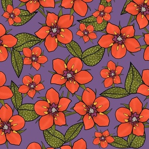 Scarlet Pimpernel Floral Pattern on Purple background