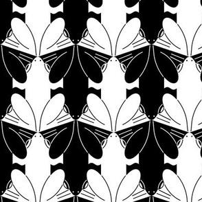 16378265 © frog 2j : black + white