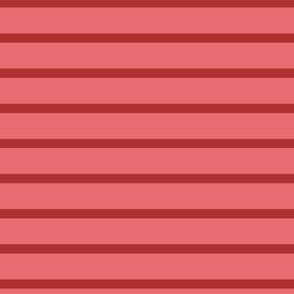 Modern Stripe Blender - Red on Raspberry Blush