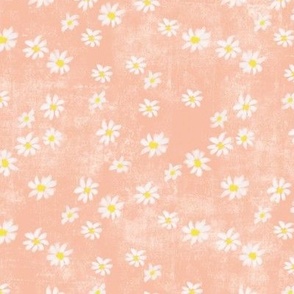 daisies of 2024 on peach fuzz color with textures on