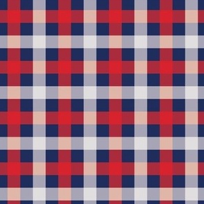 Plaid Red and White on Navy Blue