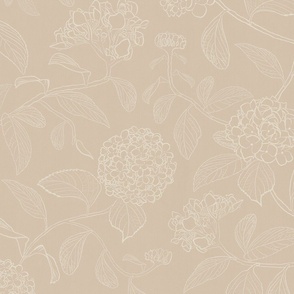Light beige line drawing of trailing floral hydrangea for neutral wallpaper