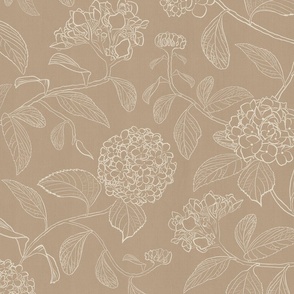 Latte beige line drawing of trailing floral hydrangea for neutral wallpaper