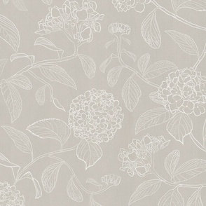 Light gray and white trailing floral hydrangea for wallpaper