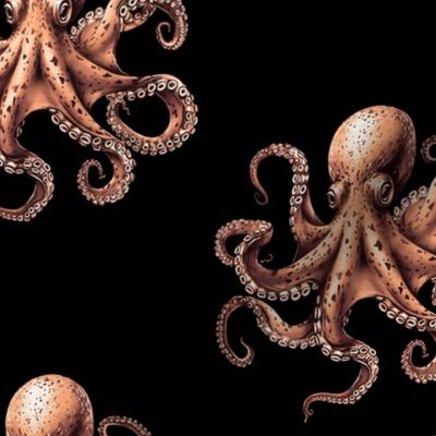 Octavius Octopus - Warm Spice on Black 
