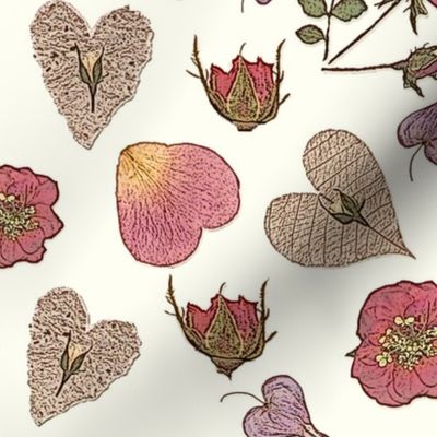 heart botanicals graphic