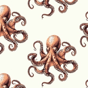 Octopus Whimsy-X.LG. –Warm Spice/Pale Cream Wallpaper – New 