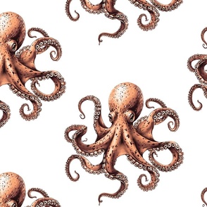 Octopus Whimsy-X.LG. –Warm Spice/White Wallpaper – New 